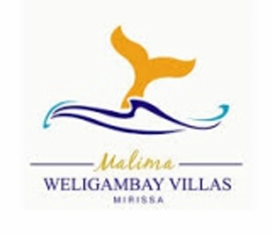 Screenshot 2025-12-03 115851